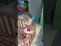Lukas, 1yr. 2 months w/ Shamaine