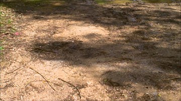 ecx torment on dirt eps.1