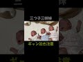 【三つ子姉妹】ギャン泣き注意！こうなると手が付けられません…
