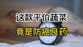 这款平价蔬菜，竟是防癌良药！医生传授独门做法，轻松降低肺癌、肝癌风险！今日热搜 抗癌食物