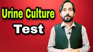 Understand Urine Culture Test