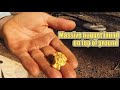 "Golden Eagle Poo" Gold Nugget