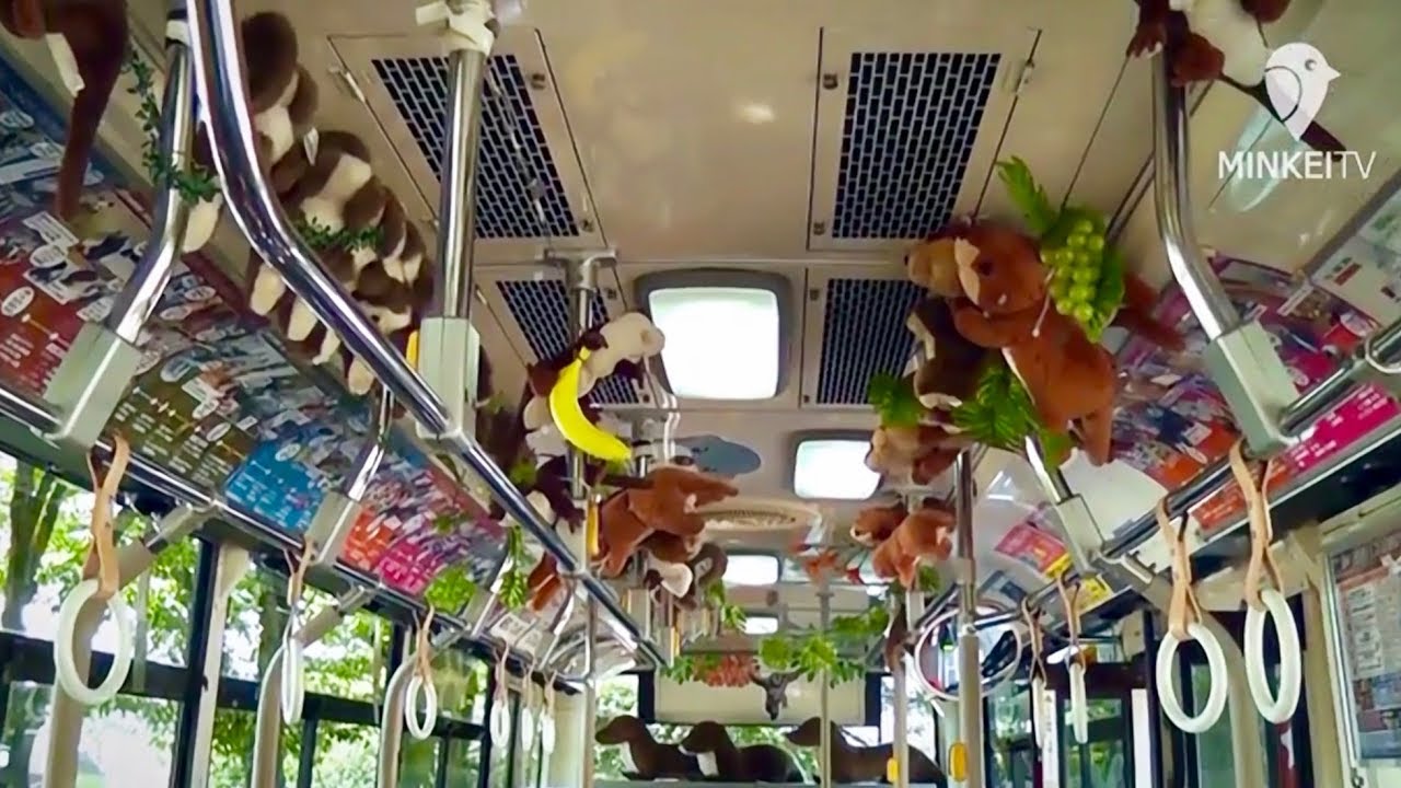 福岡市動物園 秋の行楽シーズンに無料 Zooバス 運行 Youtube 福岡市動物園 秋の行楽シーズンに無料 Zooバス 運行 Youtube