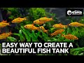 How To Create a Beautiful Fish Tank and Breed fish | eSHa OPTIMA. Как создать красивый аквариум?