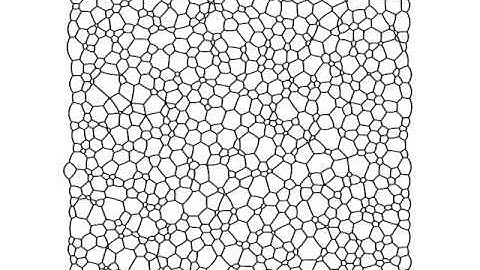 2D Dry Foam: Coarsening example using parallel methods