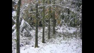 Dyster - Sweet Illness Of Mine (Lifelover Cover).wmv