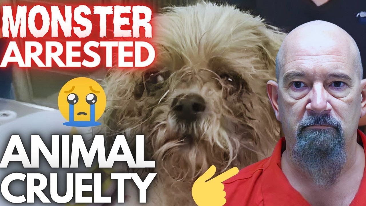 Florida Man Anthony Bellman ARRESTED for Dumping Dog in Dumpster. YouTube