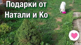 Подарки от Натали и Ко / Вернулись домой / Воронежская область / Часть 11