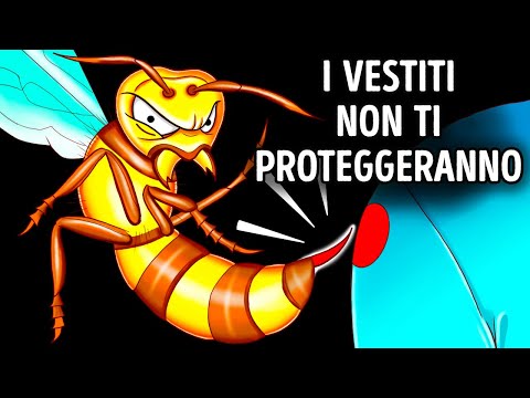 Video: Cosa sono i calabroni assassini – Sfatare i miti con i fatti di calabroni assassini