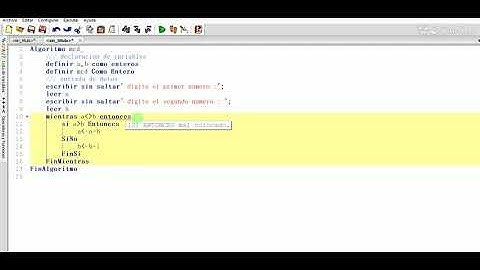 algoritmo usando mientras y si entonces mcd en psein