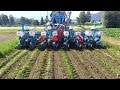 Streifenfräse Oekosem Rotor Strip Till