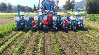 Streifenfräse Oekosem Rotor Strip Till