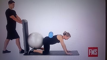 Quadruped Rock with Core Activation