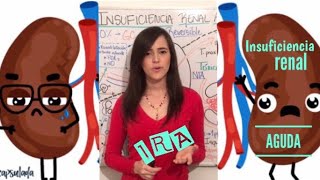 Insuficiencia renal aguda (IRA) en 15 minutos - mecanismos fisiopatológicos pre, intra y post renal!