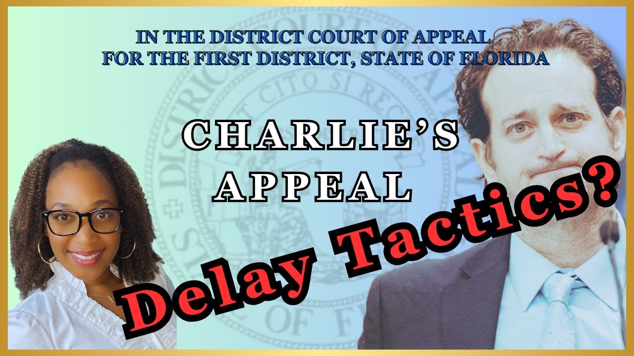 Charlie Adelson's Appeal- Update on Strategic Delays