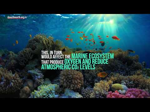 How global warming will impact oceans in the future - Down To Earth Magazine