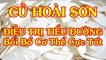 Hoài sơn (Củ mài) vị thuốc bồi bổ cơ thể, điều trị tiểu đường