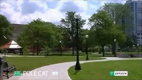 ParkZone Ultra Micro RC Pole Cat BNF airplane demo flight.