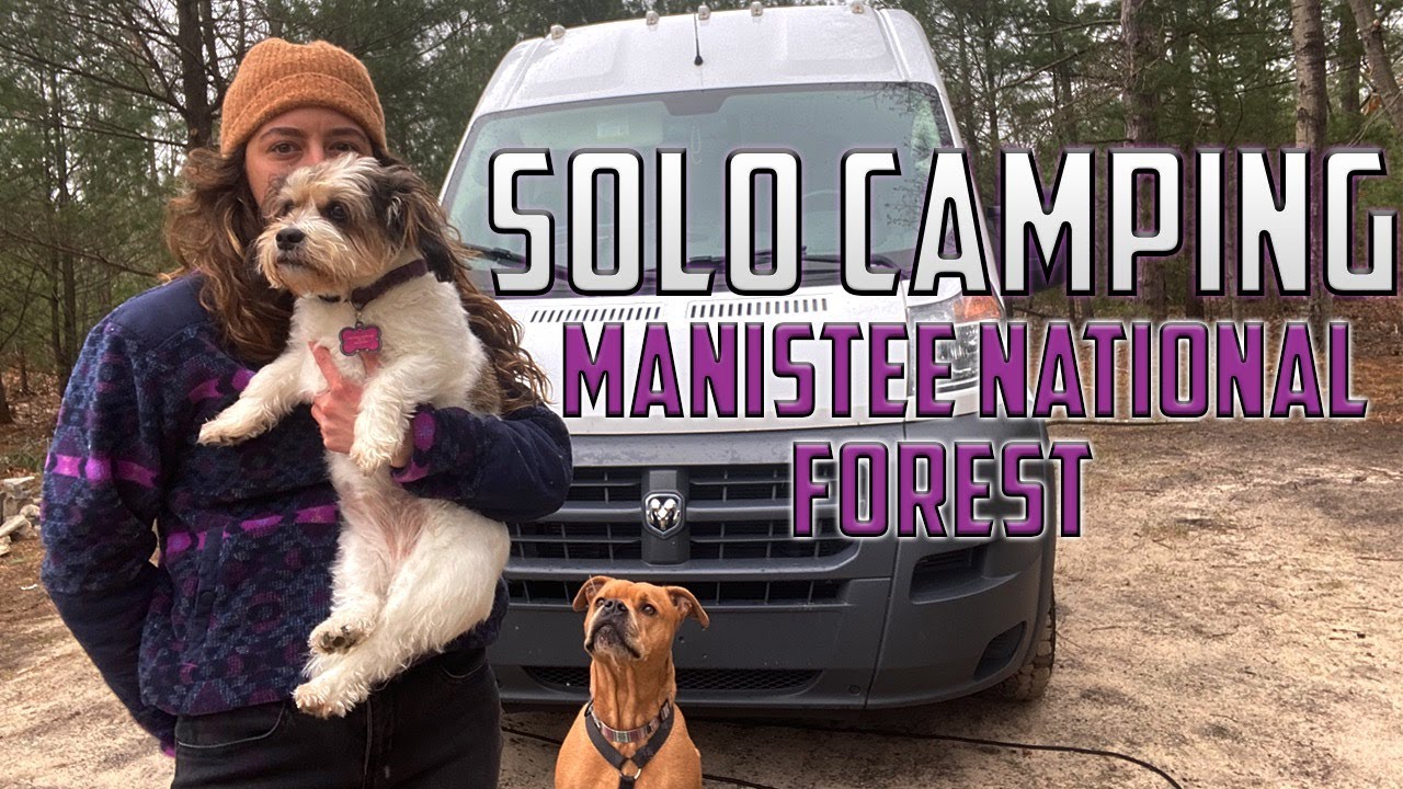 are dogs allowed in manistee national forest