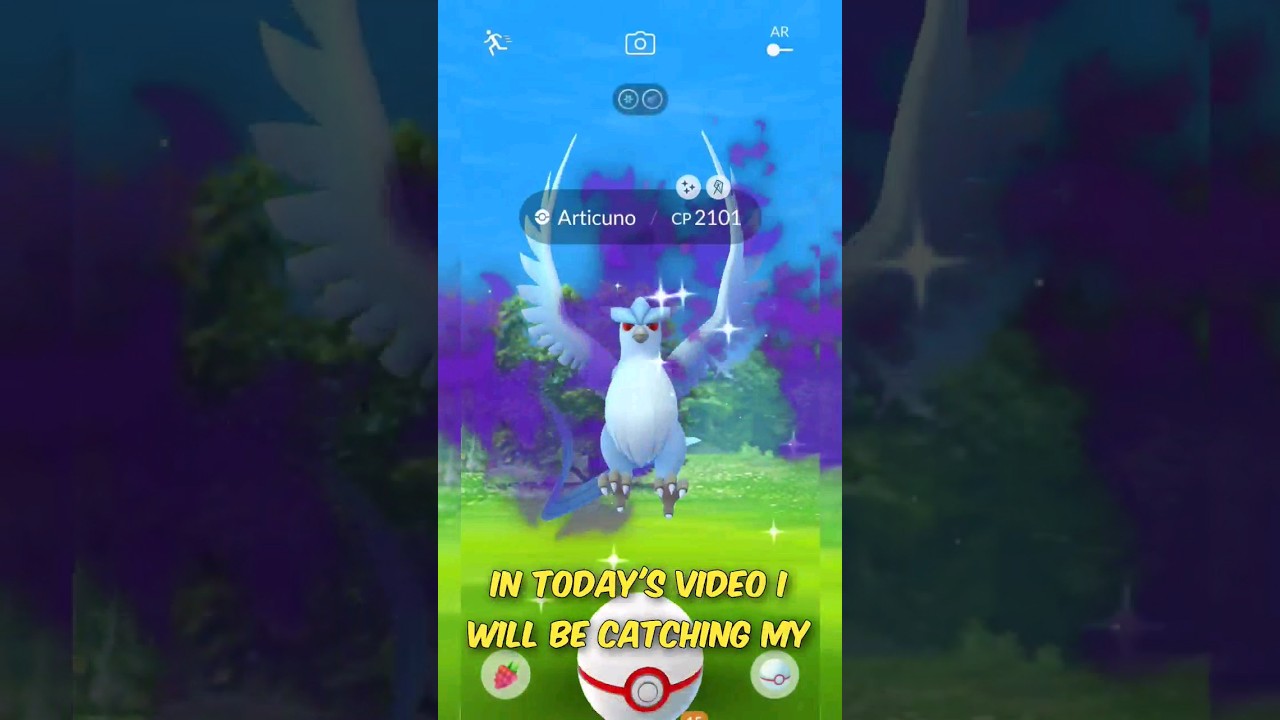 Catching FIRST Shiny Shadow Articuno In Pokemon Go Shadow Legendary Catching FIRST Shiny Shadow Articuno In Pokemon Go Shadow Legendary