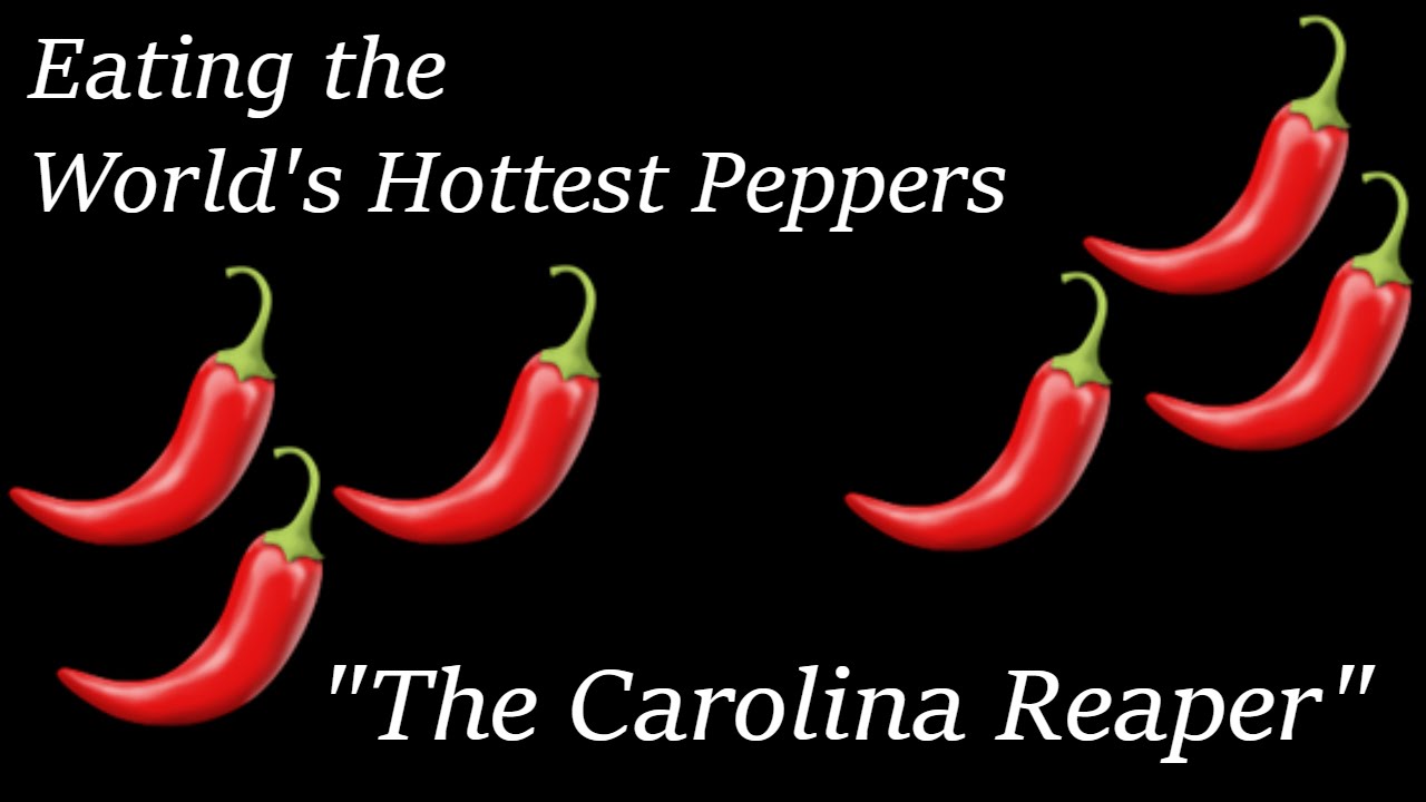 Eating the World's Hottest Pepper The Carolina Reaper