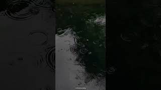 Relaxing Rain Puddles 🌧️ | Light Rain & Gentle Raindrops for Instant Calm