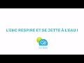 L'EHC respire et se jette à l'eau