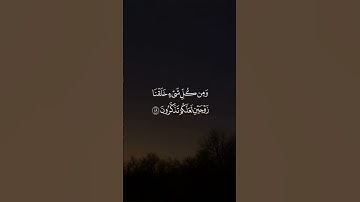 #بدر_التركي #ايات_قرانيه_قصيره #القرآن_الكريم #تلاوات #قرآن #تلاوة #القرآن #تلاوة_خاشعة #آيات #quran
