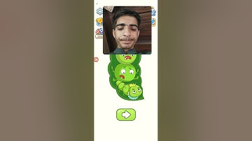 Dop 5 Level 291 walkthrough solution #android #ios #gameplay