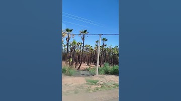 سورة الكهف جمعة مباركة #المغرب #مراكش #اكسبلور