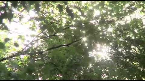 سورة الاخلاص بصوت الشيخ وديع اليمني