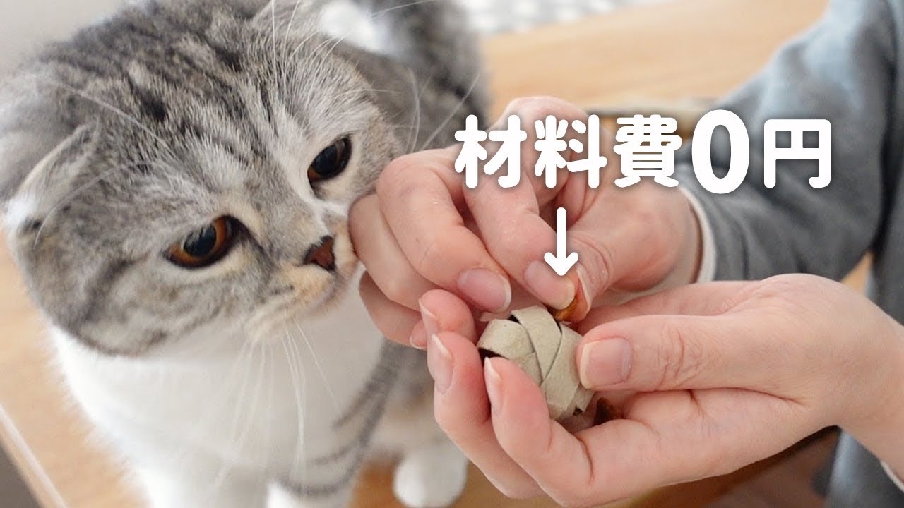 材料費0円】3分でできる猫の手作りおもちゃが大好評でした｜おやつトイ 