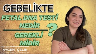 Serbest Fetal DNA Testi Nedir? (cfDNA, NIPT) - Gerekli midir? - Nasıl Yapılır?