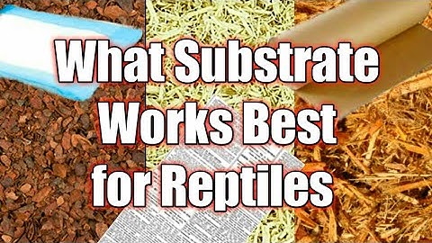 Substrate Types - Which one is best