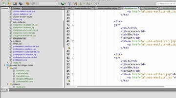 Crud JSP/JPA - Relacionamento 1 pra N - Aula 1