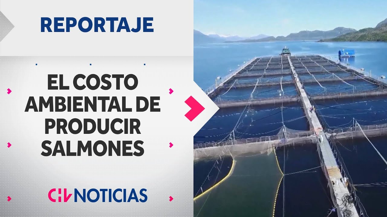 REPORTAJE | El costo ambiental de producir salmones: Industria vulneraría normas - CHV Noticias