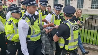 Ministry of defence attacked by free Palestine protesters Horse Guards shut down security alert ⚠️