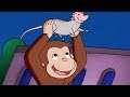 George O Curioso 🐵Criaturas Noturnas 🐵 O Macaco 🐵Episódio Completo 🐵 Desenhos Animados
