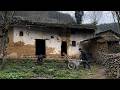 Grandmother left two siblings an old house abandoned for many years - they turned it into a paradise