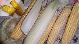 Как сварить кукурузу в початках, чтобы она была очень вкусной и сочной. Варим кукурузу с солью.