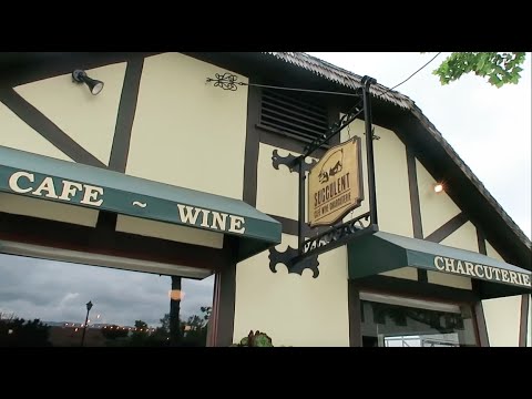 Vlog: Lunch at Jane, Fig's birthday & Solvang trip