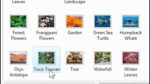 How to change a picture for an Outlook contact