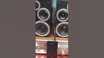 Speaker Polarity