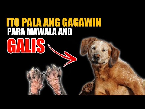 Video: Paano Madaig ang Takot sa Paglipad (na may Mga Larawan)