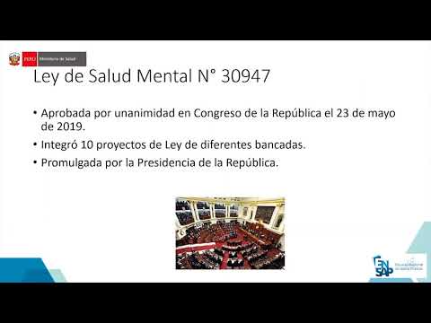 U01 T01 Reglamento de la Ley 30947, Ley de Salud Mental