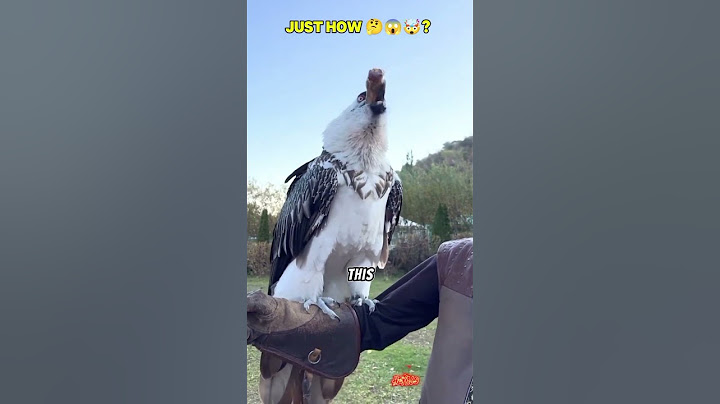 Vulture Swallows, Big Bone Whole 🤯 #birds #amazing #shorts