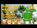 COMO HACER EL PURIN DE HIERBAS