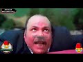 كرتون الاسد والملك سيمبا بشكل كوميدي