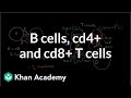 Review of B cells, CD4+ T cells and CD8+ T cells | NCLEX-RN | Khan Academy
