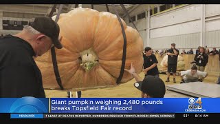 Giant pumpkin weighing 2,480 pounds breaks Topsfield Fair record